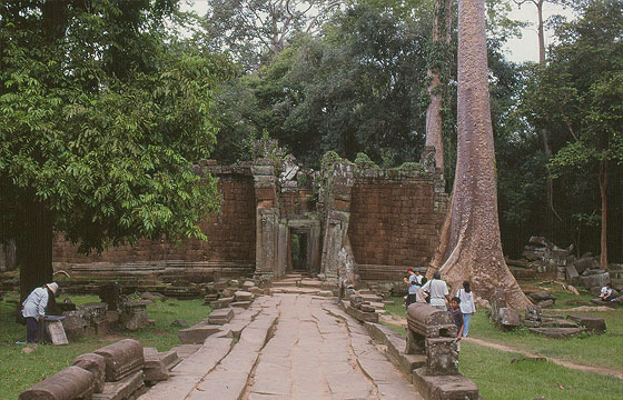 ANGKOR - Il Ta Prohm illuminato dalla luce del sole poco prima dell'acquazzone 