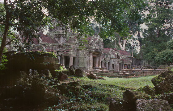 ANGKOR - Ta Prohm dopo la pioggia 