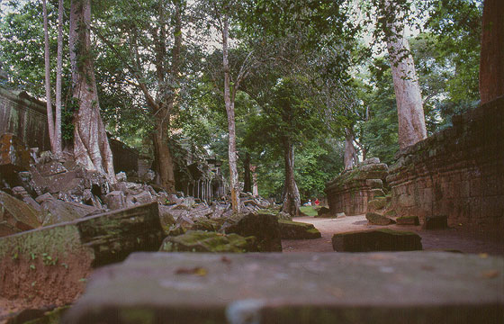 ANGKOR - Ta Prohm - scenografia di 