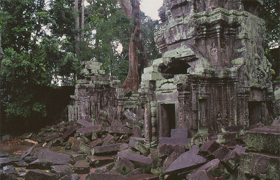 ANGKOR - Ta Prohm - le pesanti pietre del tempio cadute a causa dell'abnorme sviluppo delle gigantesche radici 