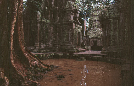 ANGKOR - Ta Prohm - tra le pozze d'acqua e la luce verdastra intensificata dai muschi sulla pietra appare tutto il fascino delle rovine 