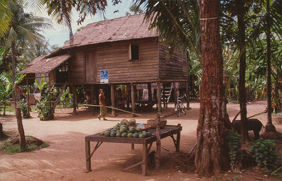 ANGKOR - Villaggi lungo la strada verso Banteay Srei e Kbal Spean 