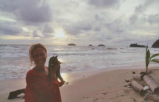 KO CHANG - Io ed un gattino thai alla Lonely Beach  