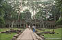 ANGKOR. Ta Prohm