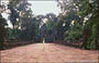 ANGKOR. Preah Khan - porta ovest (ingresso turistico)
