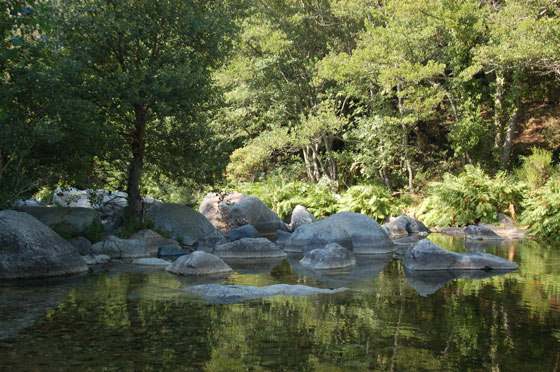 L'ALTA ROCCA - Ci tuffiamo nelle pozze d'acqua cristallina di questo torrente nei pressi di Zoza, poco distante da Ste Lucie de Tallano