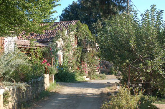 L'ALTA ROCCA - Un posto agreste e delizioso in cui rilassarsi: chambre d'hotes Riccu a Levie, nei pressi dei siti archeologici Cucuruzzo e Capula 