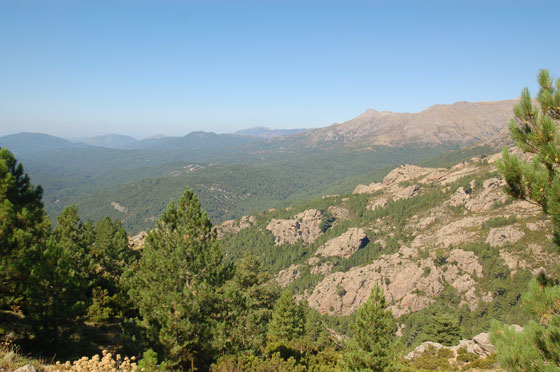 L'ALTA ROCCA - In macchina verso il Col de Bavella 