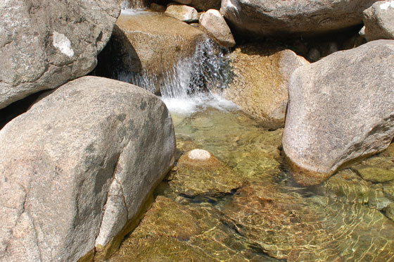 L'ALTA ROCCA - Dopo la sosta ritorniamo verso il Col de Bavella e troviamo il sentiero nascosto che in circa un'ora di cammino di ha portato al Canyon de la Purcaraccia