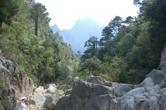 L'ALTA ROCCA - Vista del canyon de la Purcaraccia