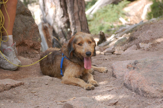 L'ALTA ROCCA - Mosè posa alle Aiguilles de Bavella