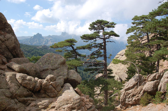 L'ALTA ROCCA - Attività all'aperto per tutti i gusti:  escursionismo, canyoning, arrampicata, trekking e tuffi nelle acque cristalline di qualche torrente