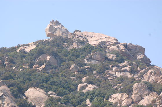 PLAGE DE ROCCAPINA - Il leone di Roccapina