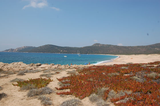 PLAGE DE TRA LICETTU - Accessibile in auto da una pista sconnessa di circa 6 km