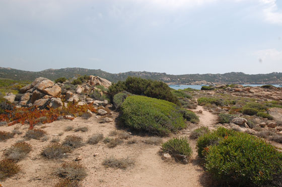 CORSICA DEL SUD - Da Plage de Tra Licettu raggiungiamo a piedi la deliziosa baia di Plage d'Argento 