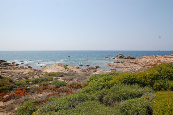 CORSICA DEL SUD - Verso Plage d'Argento tra la caratteristica vegetazione a macchia mediterranea