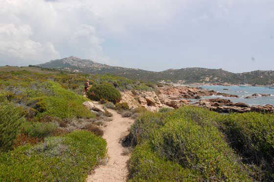 CORSICA DEL SUD - Il percorso tra la macchia mediterranea che collega Plage de Tra Licettu a Plage d'Argento