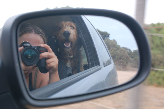 CORSICA DEL SUD - Finiamo la giornata a Tizzano intristendoci per la bella baia rovinata dalla speculazione edilizia e dagli anonimi hotel proprio sulla spiaggia