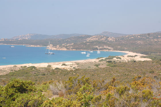 PLAGE D'ERBAJU - Un vero paradiso, una enorme spiaggia di sabbia bianca quasi deserta
