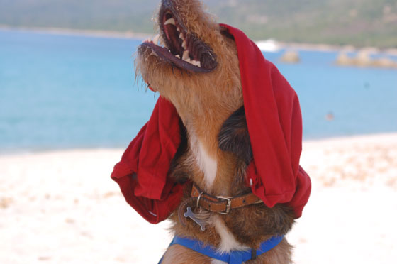 PLAGE DE CUPABIA - Mosè ridente sembra dire: Ahhhh, che bellezza la protezione del turbante!