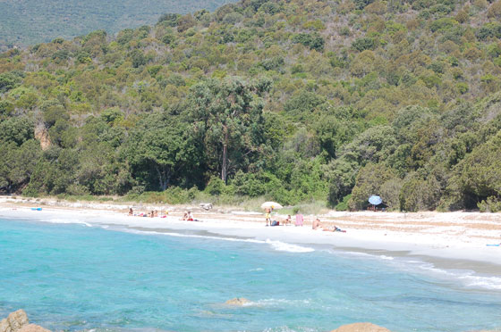 GOLFE DU VALINCO - La scenografica Plage de Cupabia a cui fa da sfondo la collina con la folta vegetazione