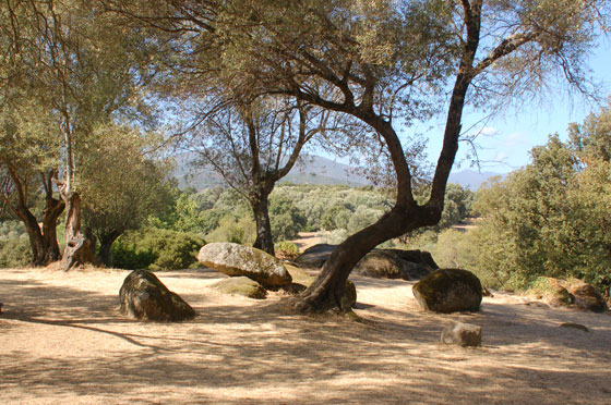 LA COSTA DEL SUD-OVEST - Il bel paesaggio della campagna di Filitosa tra scavi e resti megalitici