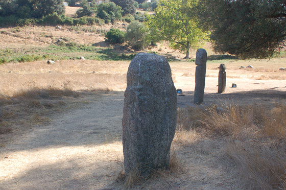 FILITOSA - Cinque statue-menhir a semicerchio rappresentano guerrieri