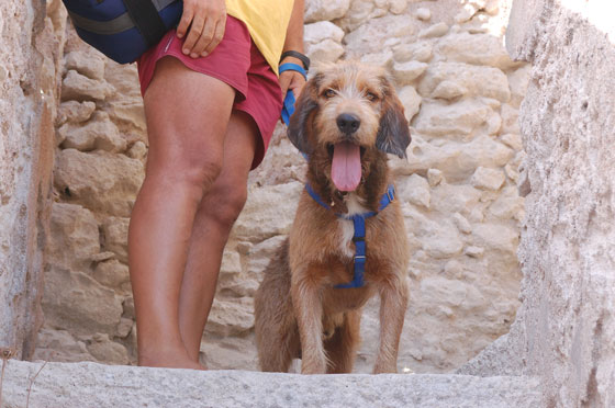 BONIFACIO - Clik, Mosè immortalato sul percorso di ronda sul golfo di Bonifacio