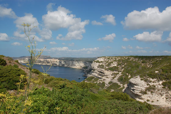 CAPO PERTUSATO - Il miglior punto panoramico dell'area