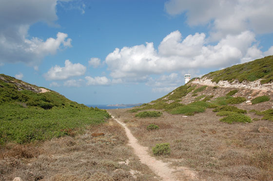CORSICA DEL SUD - Sentieri pedestri tra le scogliere tra Cap Pertusato e l'isolotto di St Antoine
