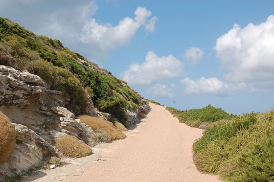 BONIFACIO - Dal percorso delle falesie ci dirigiamo verso l'isolotto di Saint-Antoine