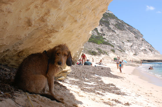 PLAGE DE SAINTE ANTOINE - Mosè all'ombra della roccia calcarea dell'isolotto di Sainte Antoine