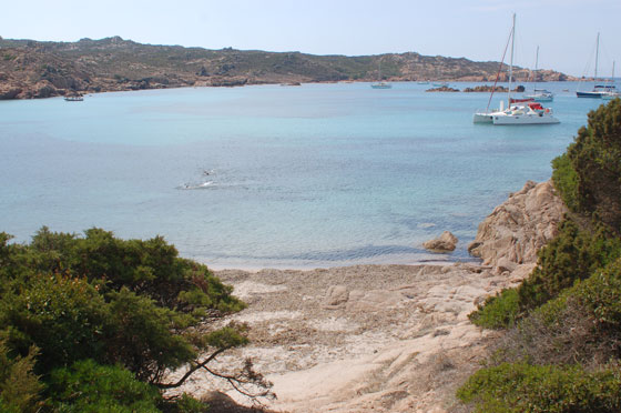 OLTRE PLAGE DE LA TONNARA - Ci godiamo dall'alto la baia scelta per il nostro relax quotidiano