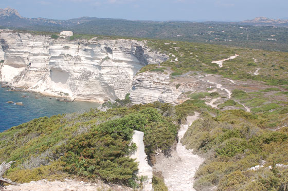 BONIFACIO - E' fantastico camminare sul sentier des falaises con vista mozzafiato sul mare e sulla cittadella