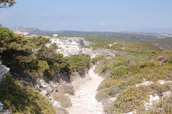 SENTIERO DELLE FALESIE - Tre ore di cammino tra andata e ritorno lungo il sentiero che segue le scogliere ventose, è il modo ideale per conoscere Bonifacio e i dintorni
