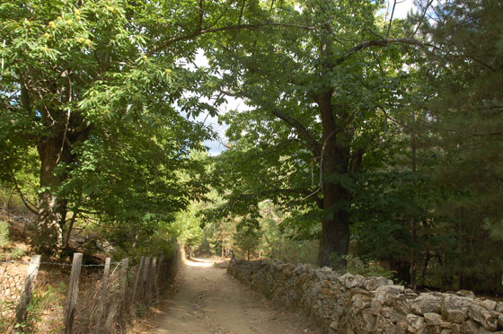 EVISA - Chemin des Chataigniers - passeggiata tranquilla all'insegna del relax e della quiete verso le cascatelle e le piscine naturali