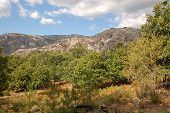 EVISA - Ammiriamo il paesaggio dal sentiero delle castagne