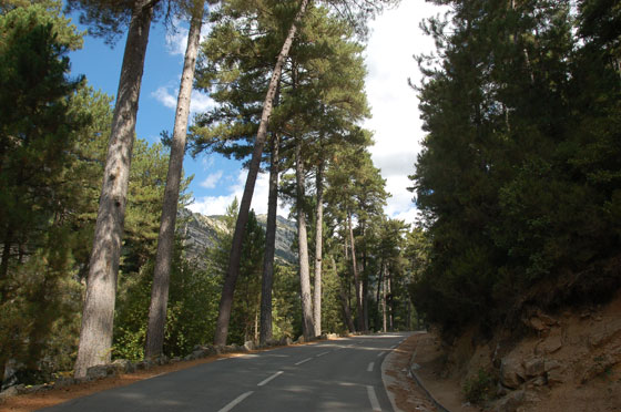 FORET D'AITONE - Dalla D84 un sentiero scende verso le piscine e le cascate