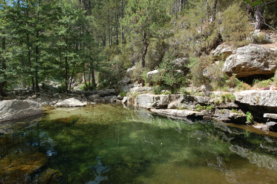 CASCATE D'AÏTONE - Siamo nelle pozze naturali ai piedi delle cascate nell Foresta di Aitone