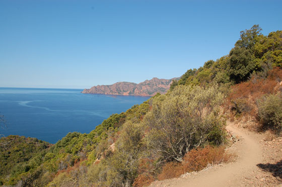 DAL COL DE LA CROIX A GIROLATA - Panorami sul golfo di Girolata, prima di arrivare all'insenatura di Tuara
