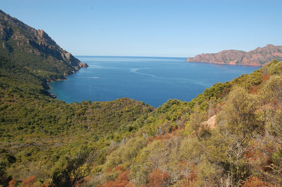 GOLFO DI GIROLATA - L'insenatura di Tuara vista dall'alto del percorso pedestre
