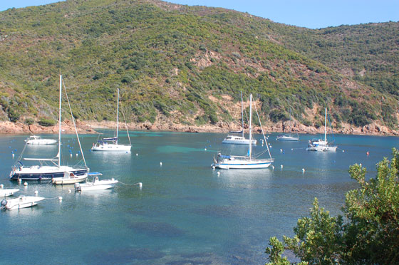 GOLFO DI GIROLATA - Troppe barche hanno accesso alla baia