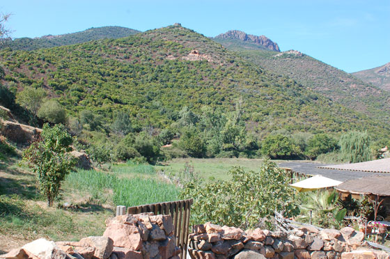 GIROLATA - Il bel paesaggio circostante, fatto di verdi colline, che protegge e isola Girolata dalla strada principale