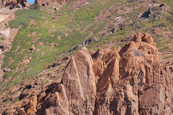 RISERVA NATURALE DI SCANDOLA - Per l'unicità del suo ambiente marino, la riserva è stata inserita dall'UNESCO tra i siti Patrimonio dell'Umanità