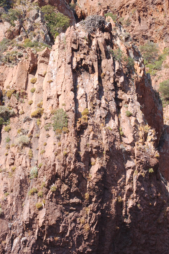 RISERVA NATURALE DI SCANDOLA - Scogliere alte anche 500 metri, pinnacoli, grotte e isolotti