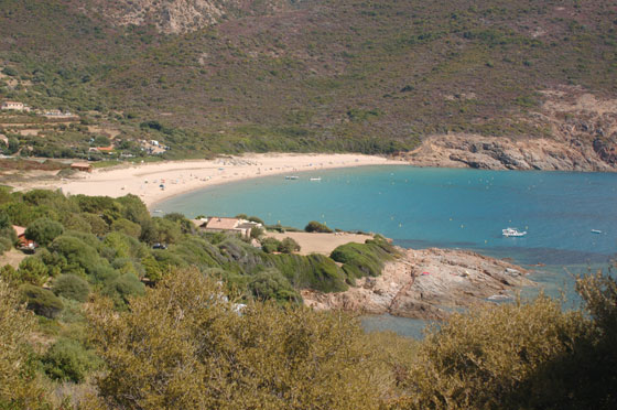 GOLFE DE PORTO - Seguendo la panoramica D824 si arriva alla Plage d'Arone, di sabbia fine e circondata da cespugli di mirto