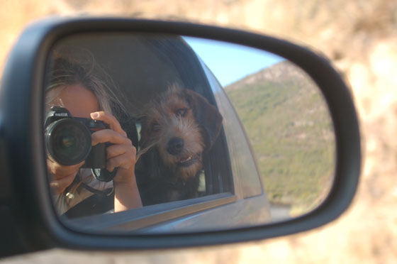 GOLFO DI PORTO - Finita la giornata in spiaggia, ritorniamo a Piana per goderci il tramonto sulle Calanche e una cena all'aperto nella piazzetta del villaggio