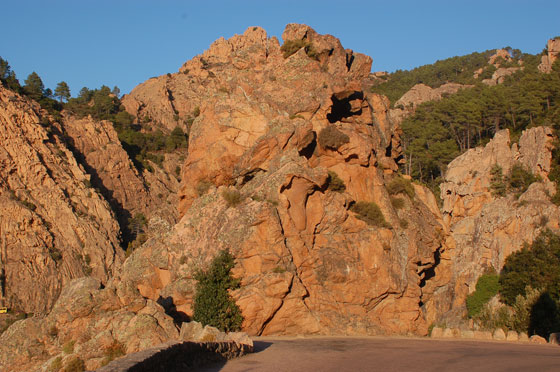 D81 - Grovigli di rocce si accendono di rosso