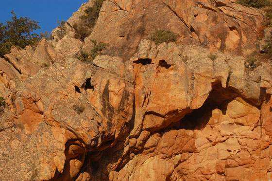 PIANA - Nelle Calanche si aprono cavità dette tafoni, in un gioco di forme in cui la fantasia popolare ha riconosciuto figure di ogni genere 