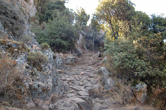 PIANA - Chemin des Muletiers - su per la vecchia mulattiera che collegava Piana e Ota